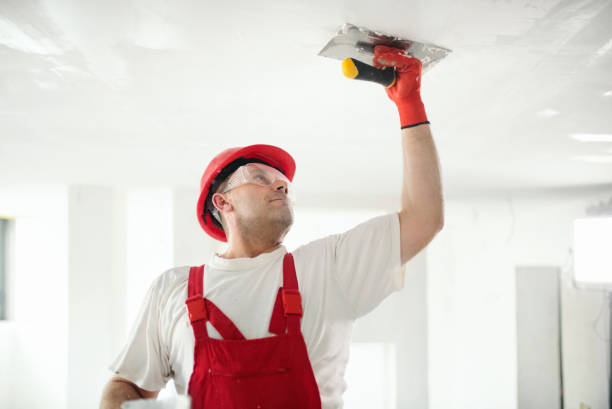 Best Environmental Consulting for Mold Prevention  in USA